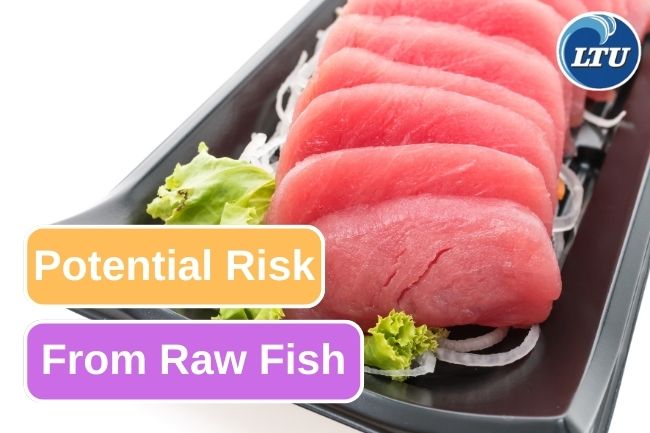 3 Things To Be Alert From Eating Raw Fish